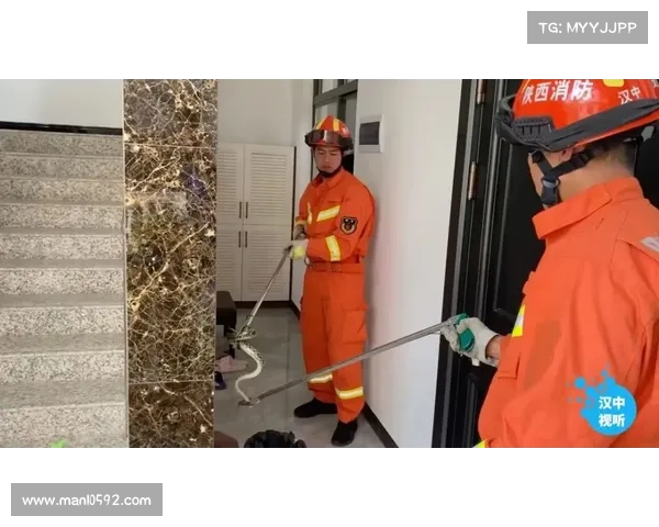 棒球本垒板撞击规则调整与捕手安全防护措施全面升级 棒球本垒板撞击规则调整与捕手安全防护措施全面升级